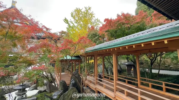 慈眼寺の新名所・夢窓橋（むそうばし）と紅葉