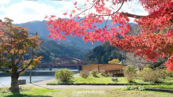 金砂湖畔公園の紅葉2024-1