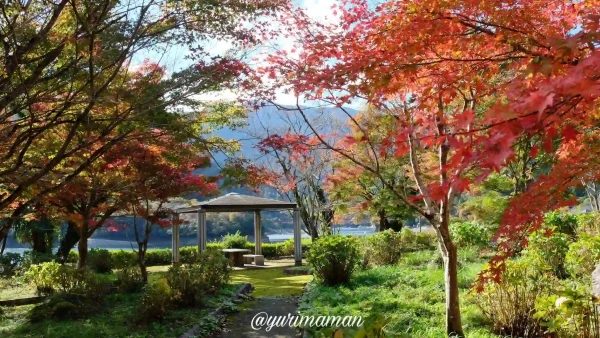 金砂湖畔公園の紅葉2024-3