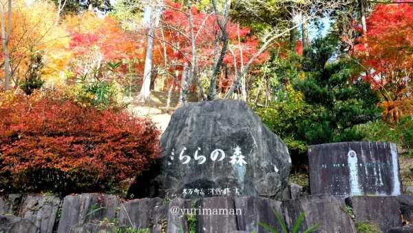 きららの森（久万高原町）もみじの紅葉が美しいスポット