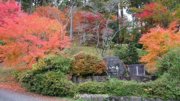 久万高原町きららの森_紅葉1