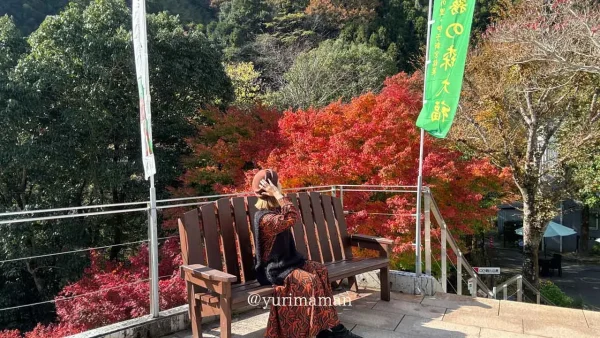 道の駅霧の森の紅葉に囲まれたベンチ