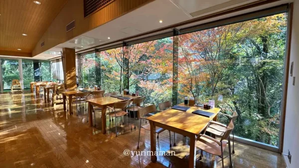 霧の森レストランの店内から眺める紅葉 - ゆりママんブログ 霧の森レストランの店内から眺める紅葉