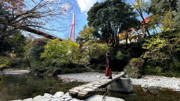 霧の森の川沿いに広がる紅葉の風景