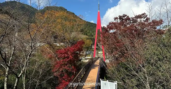 道の駅霧の森の赤い吊り橋と鮮やかな紅葉（2024年11月撮影）