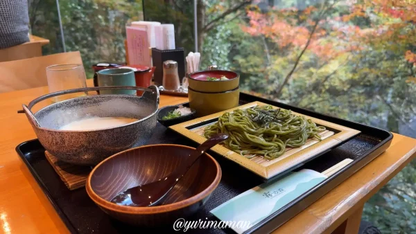 霧の森レストランの茶そばランチセットと紅葉風景（2024年11月撮影）