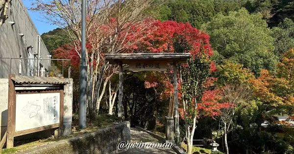 道の駅霧の森 聴水の道のゲートと色づく紅葉（2024年11月撮影）