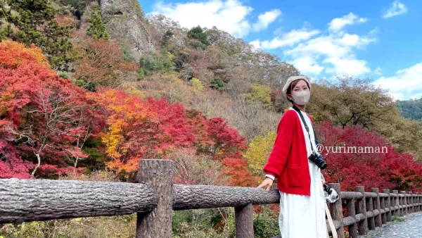 久万高原町の紅葉ドライブ2025まとめ