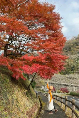 栗の里公園_もみじの木の紅葉