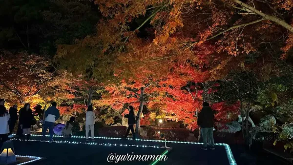 松山城二之丸光の庭園 光の通路に照らされ赤く染まる紅葉 - ゆりママんブログ 松山城二之丸光の庭園 光の通路に照らされ赤く染まる紅葉