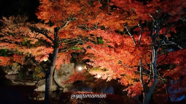 松山城二之丸史跡庭園光の庭園_ライトアップ4