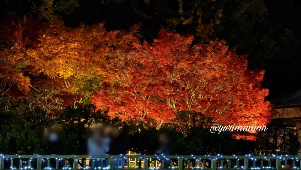 松山城二之丸史跡庭園光の庭園_ライトアップまとめ