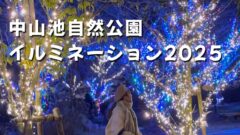 中山池自然公園イルミネーション2025｜サムネイル画像