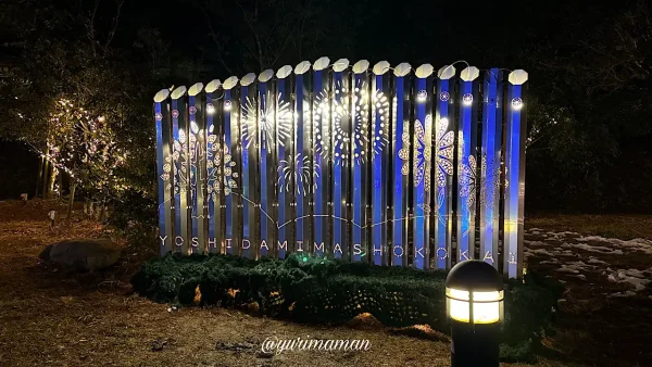 宇和島市三間町の中山池自然公園イルミネーション｜竹あかり