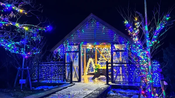 中山池自然公園の光の家｜展望台のイルミネーションフォトスポット｜宇和島市三間町の冬のイベント-1