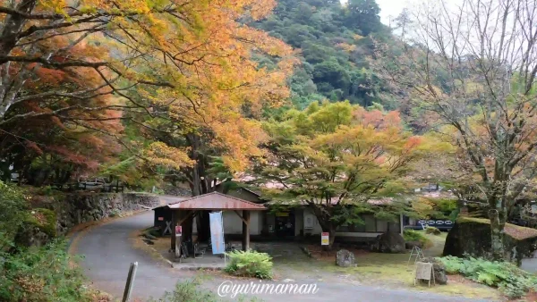 滑床渓谷_松野町_紅葉2