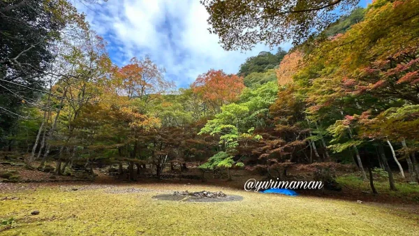 滑床渓谷_松野町_紅葉3