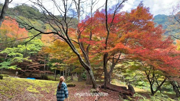 滑床渓谷_紅葉まとめ