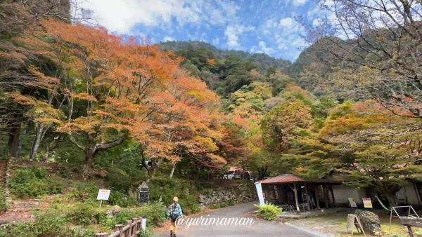 滑床渓谷_松野町_紅葉1