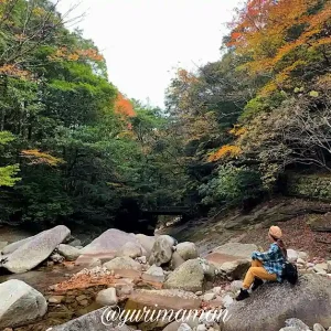 滑床渓谷_紅葉スポット_松野町_サムネイル画像