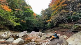 滑床渓谷_紅葉スポット_松野町_サムネイル画像