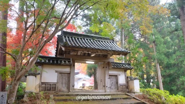 如法寺大洲_最後に