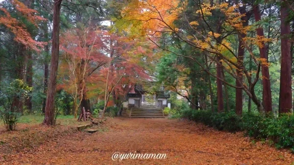 如法寺大洲_紅葉スポット4