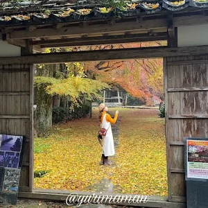 如法寺大洲_紅葉スポット_サムネイル画像