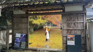 如法寺大洲_紅葉スポット_サムネイル画像