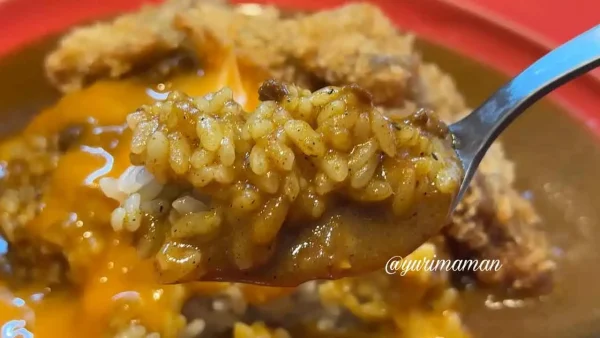 酒井カリー（新居浜市）カミカツのせ黒毛和牛カレー2