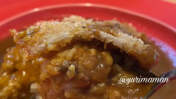 酒井カリー（新居浜市）カミカツのせ黒毛和牛カレー3