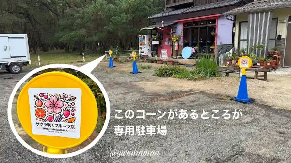 サクラ咲くフルーツ店_駐車場