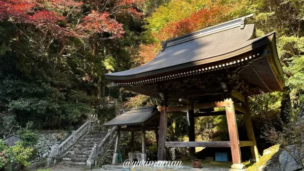 仙龍寺本堂前に広がる紅葉の景色