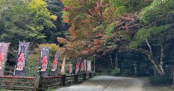 仙龍寺の紅葉と四国八十八箇所のお遍路旗（2024年11月撮影）