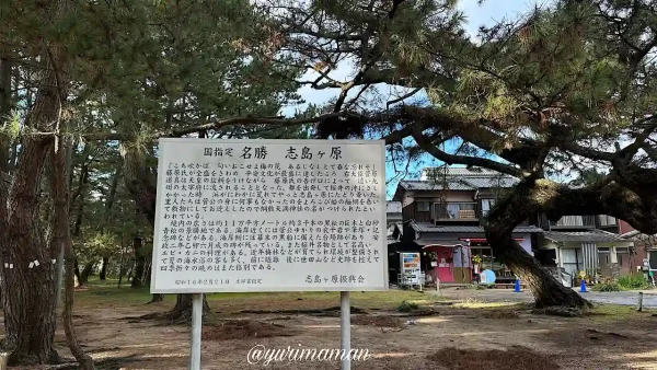 サクラ咲くフルーツ店は志島ヶ原綱敷天満神社の近くにある