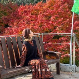 新宮町の紅葉ドライブ｜霧の森・宝乗寺・仙龍寺の絶景とランチ｜サムネイル画像