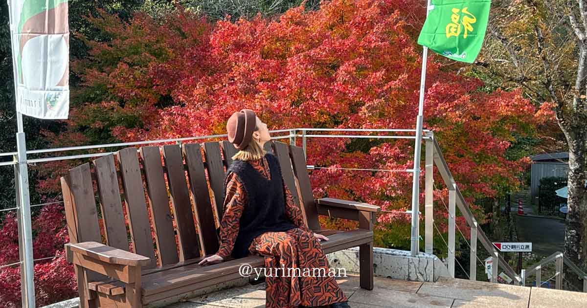 新宮町の紅葉ドライブ｜霧の森・宝乗寺・仙龍寺の絶景とランチ｜サムネイル画像