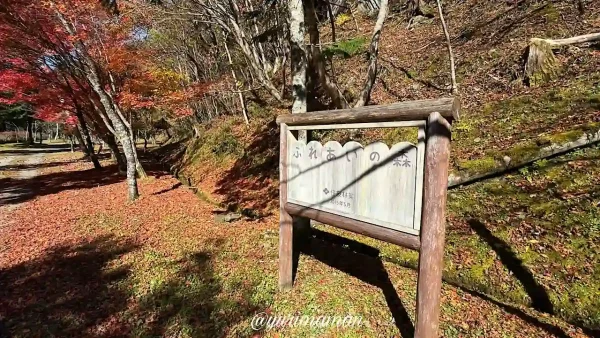 住友林業交流之森の紅葉1 - ゆりママんブログ 住友林業交流之森の紅葉1