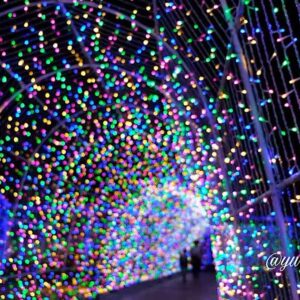 タオル美術館イルミネーション2025_サムネイル画像