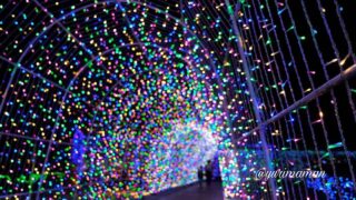 タオル美術館イルミネーション2025_サムネイル画像 - ゆりママんブログ タオル美術館イルミネーション2025_サムネイル画像