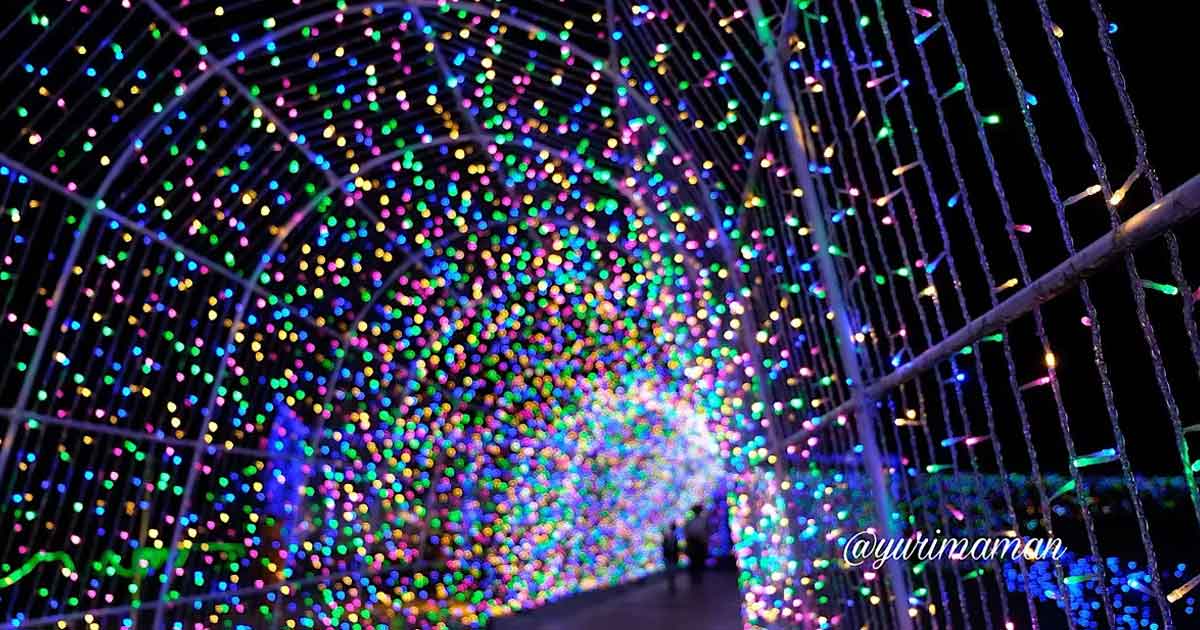 タオル美術館イルミネーション2025_サムネイル画像 - ゆりママんブログ タオル美術館イルミネーション2025_サムネイル画像