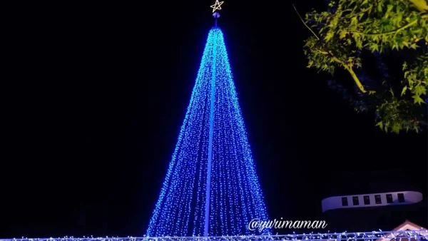 タオル美術館イルミネーション_巨大ツリー