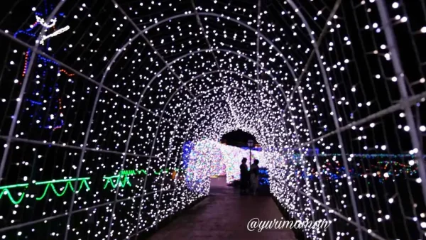 タオル美術館イルミネーション_光のトンネル1