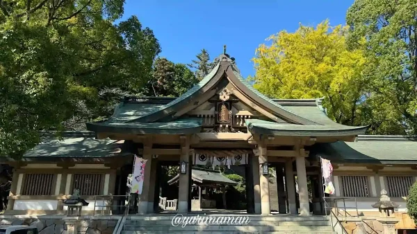 和霊神社の色づき始めたイチョウと境内の景色（2024年秋）1