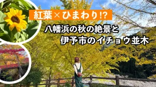 紅葉スポット巡り2024｜八幡浜～伊予市