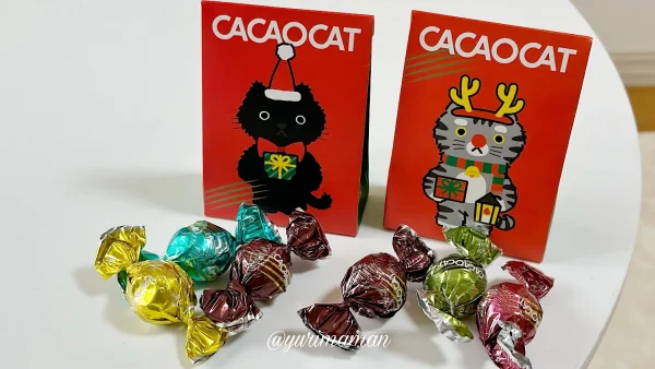 CACAOCAT松山中央店_クリスマスパッケージ