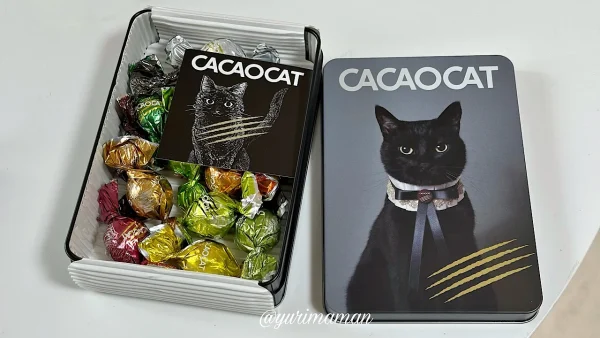 CACAOCAT黒猫缶。松山中央店で購入したおしゃれな猫モチーフのチョコレートギフト