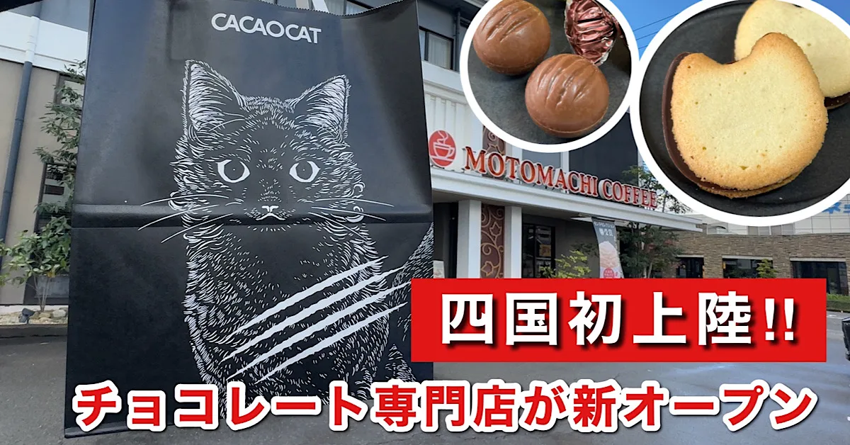 CACAOCAT松山中央店_サムネイル画像