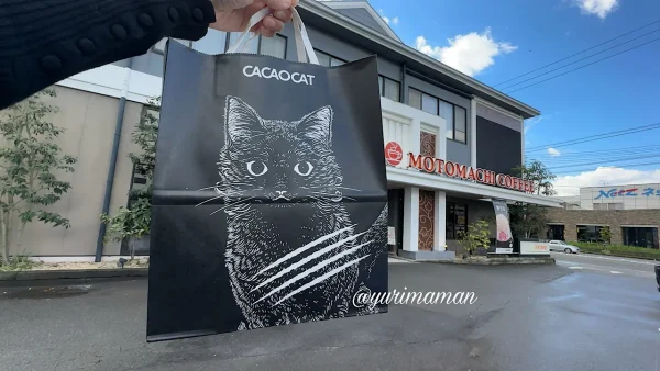 CACAOCATの紙袋は黒猫ちゃんのイラスト