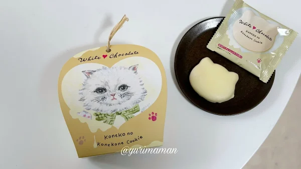 CACAOCATこねこのこねこねクッキー1